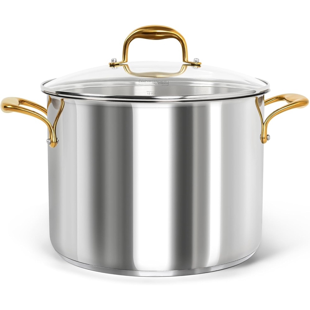 image:imageMICHELANGELO Stainless Steel Pots 6 Qt Induction Pot with Lid 1810 Stainless Steel Stock Pot Non Toxic Cooking Pot Oven amp Dishwasher Safe12 Quart